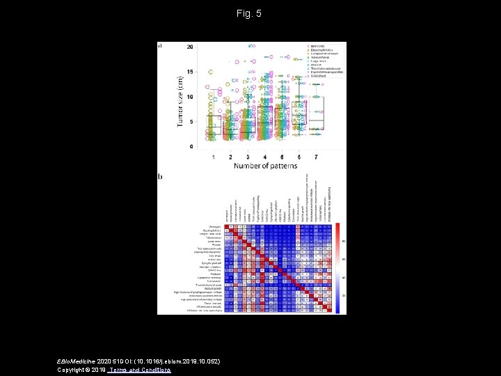 Fig. 5 EBio. Medicine 2020 51 DOI: (10. 1016/j. ebiom. 2019. 10. 052) Copyright