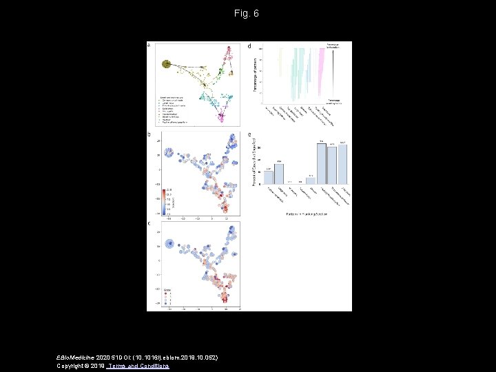 Fig. 6 EBio. Medicine 2020 51 DOI: (10. 1016/j. ebiom. 2019. 10. 052) Copyright