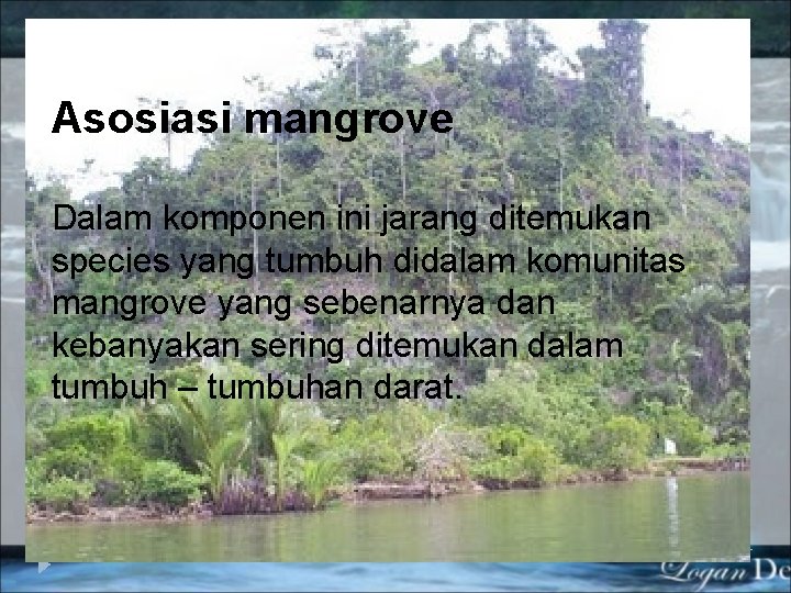 Asosiasi mangrove Dalam komponen ini jarang ditemukan species yang tumbuh didalam komunitas mangrove yang