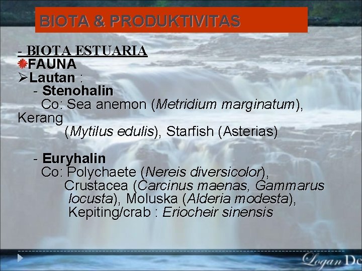 BIOTA & PRODUKTIVITAS - BIOTA ESTUARIA FAUNA ØLautan : - Stenohalin Co: Sea anemon