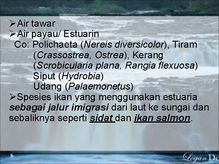 ØAir tawar ØAir payau/ Estuarin Co: Polichaeta (Nereis diversicolor), Tiram (Crassostrea, Ostrea), Kerang (Scrobicularia