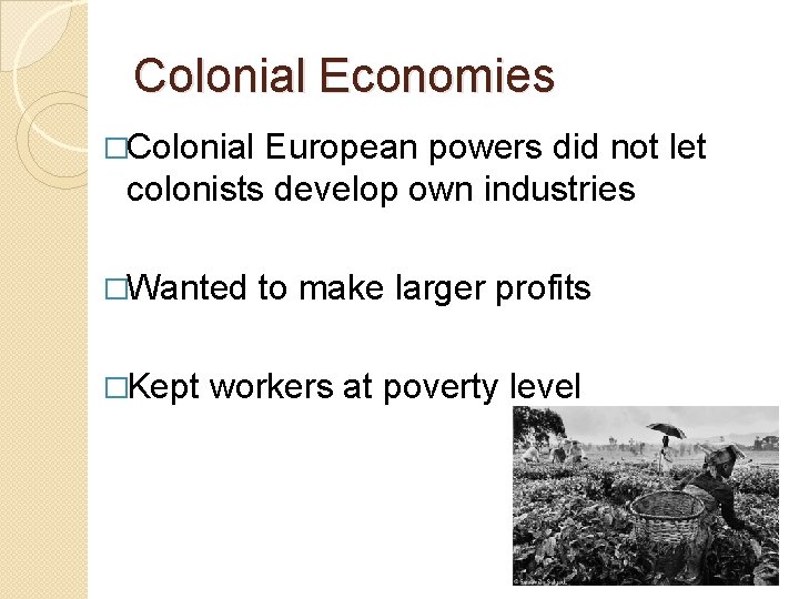 Colonial Economies �Colonial European powers did not let colonists develop own industries �Wanted �Kept