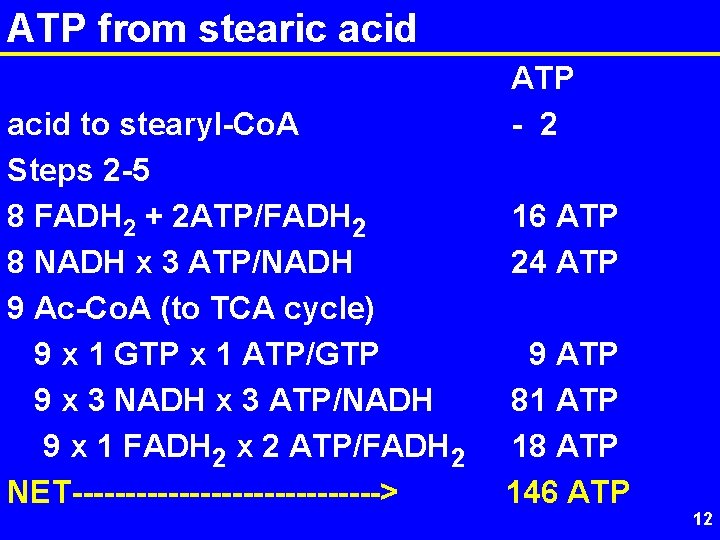 ATP from stearic acid to stearyl-Co. A Steps 2 -5 8 FADH 2 +
