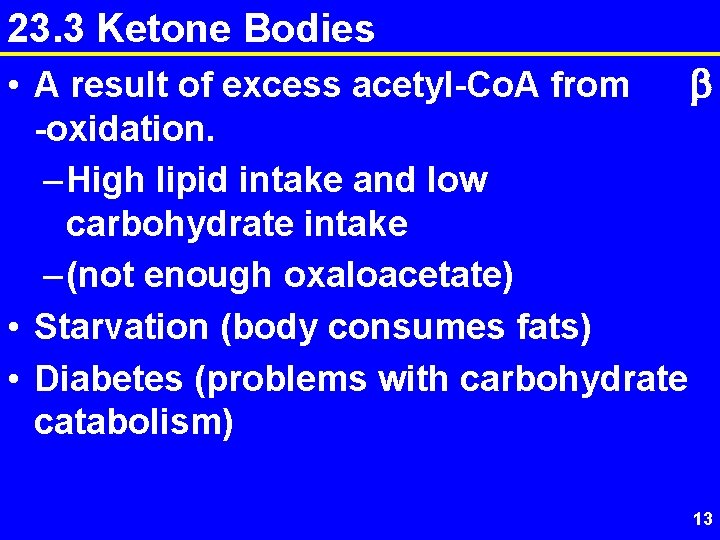 23. 3 Ketone Bodies • A result of excess acetyl-Co. A from b -oxidation.