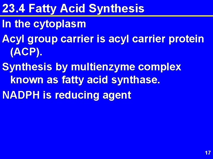 23. 4 Fatty Acid Synthesis In the cytoplasm Acyl group carrier is acyl carrier