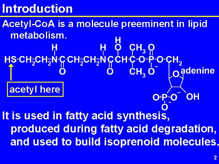 Introduction Acetyl-Co. A is a molecule preeminent in lipid metabolism. acetyl here It is