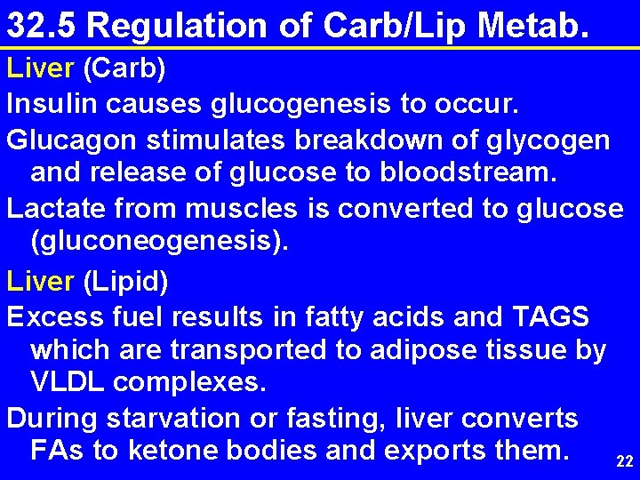 32. 5 Regulation of Carb/Lip Metab. Liver (Carb) Insulin causes glucogenesis to occur. Glucagon