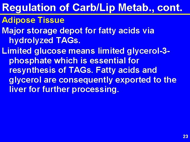 Regulation of Carb/Lip Metab. , cont. Adipose Tissue Major storage depot for fatty acids
