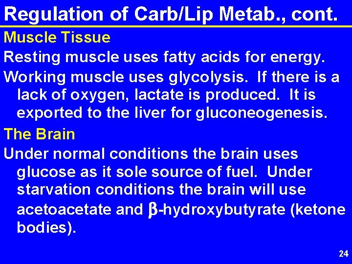 Regulation of Carb/Lip Metab. , cont. Muscle Tissue Resting muscle uses fatty acids for