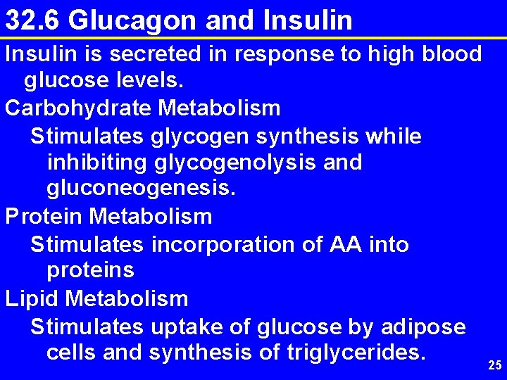 32. 6 Glucagon and Insulin is secreted in response to high blood glucose levels.