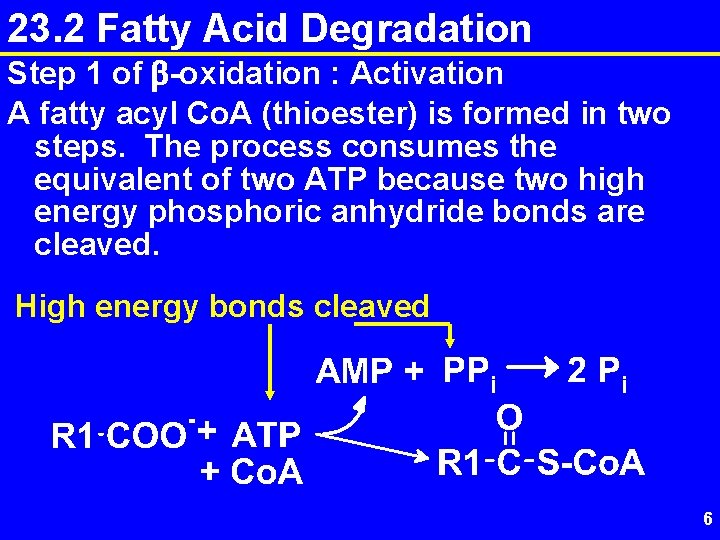 23. 2 Fatty Acid Degradation Step 1 of b-oxidation : Activation A fatty acyl