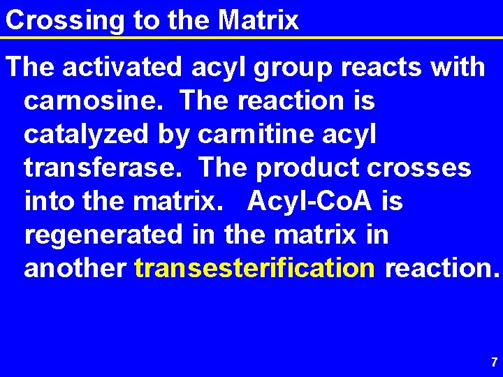 Crossing to the Matrix The activated acyl group reacts with carnosine. The reaction is