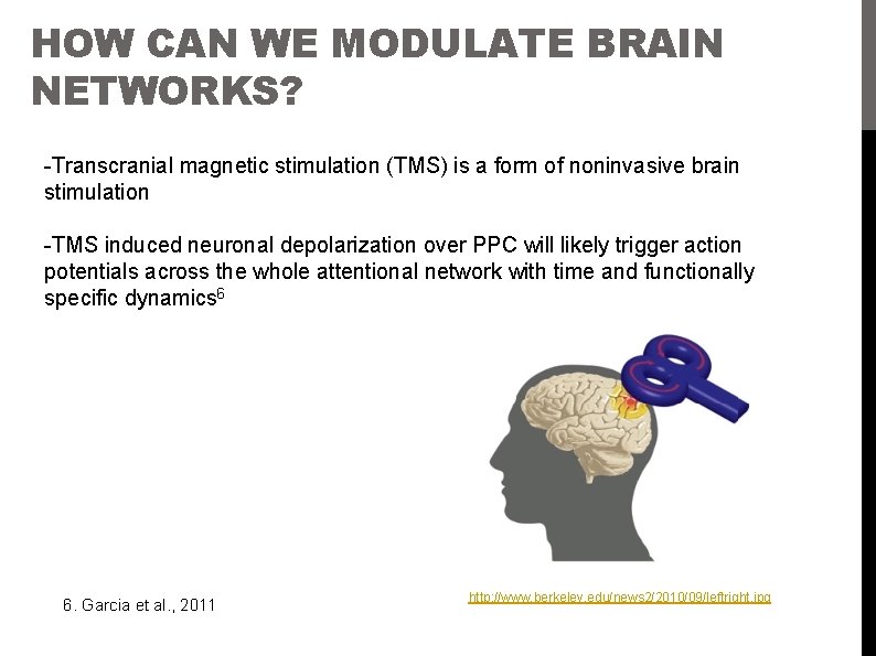 HOW CAN WE MODULATE BRAIN NETWORKS? -Transcranial magnetic stimulation (TMS) is a form of