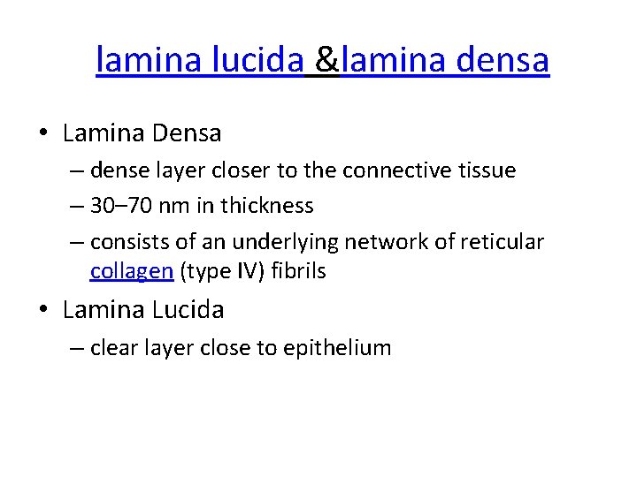 lamina lucida &lamina densa • Lamina Densa – dense layer closer to the connective