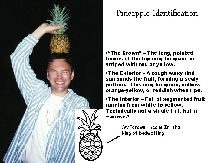 Pineapple Identification • “The Crown” – The long, pointed leaves at the top may
