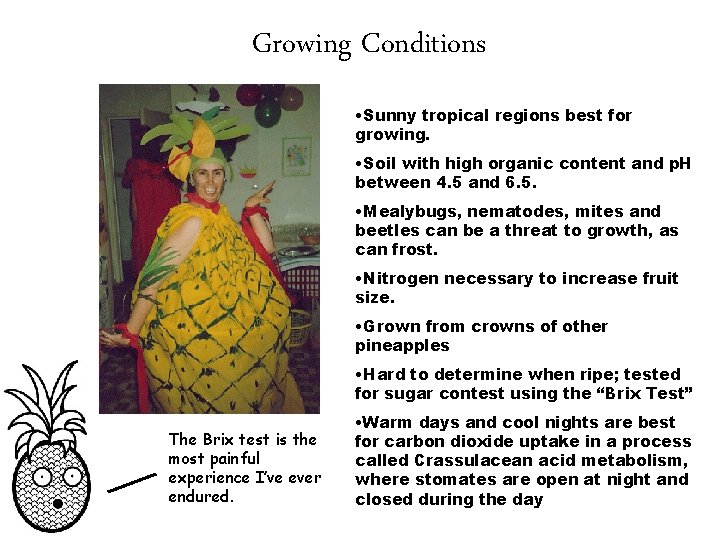 Growing Conditions • Sunny tropical regions best for growing. • Soil with high organic