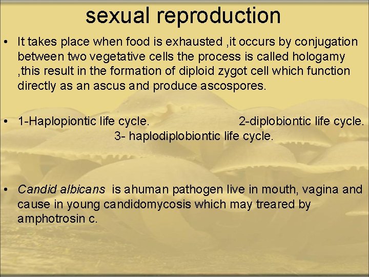 sexual reproduction • It takes place when food is exhausted , it occurs by