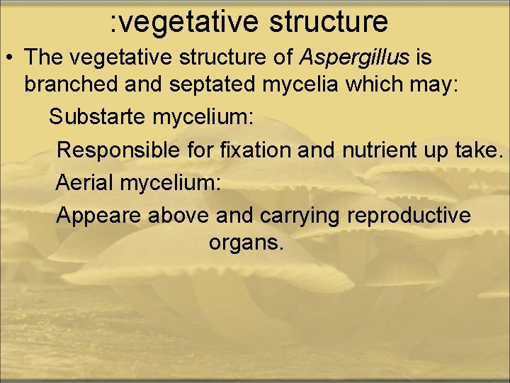 : vegetative structure • The vegetative structure of Aspergillus is branched and septated mycelia