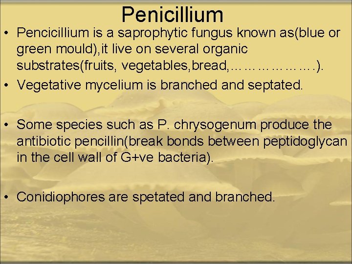 Penicillium • Pencicillium is a saprophytic fungus known as(blue or green mould), it live
