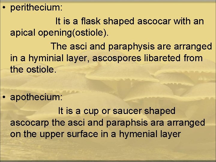  • perithecium: It is a flask shaped ascocar with an apical opening(ostiole). The