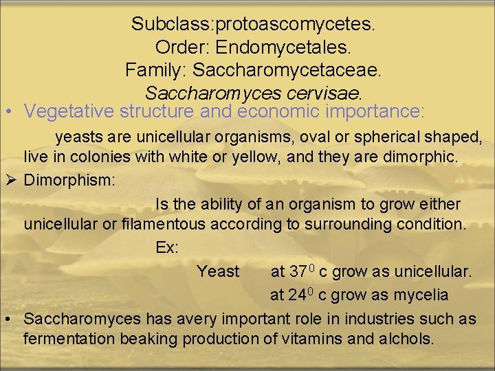 Subclass: protoascomycetes. Order: Endomycetales. Family: Saccharomycetaceae. Saccharomyces cervisae. • Vegetative structure and economic importance: