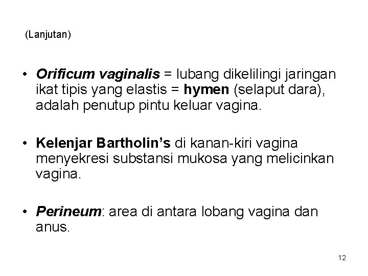 (Lanjutan) • Orificum vaginalis = lubang dikelilingi jaringan ikat tipis yang elastis = hymen