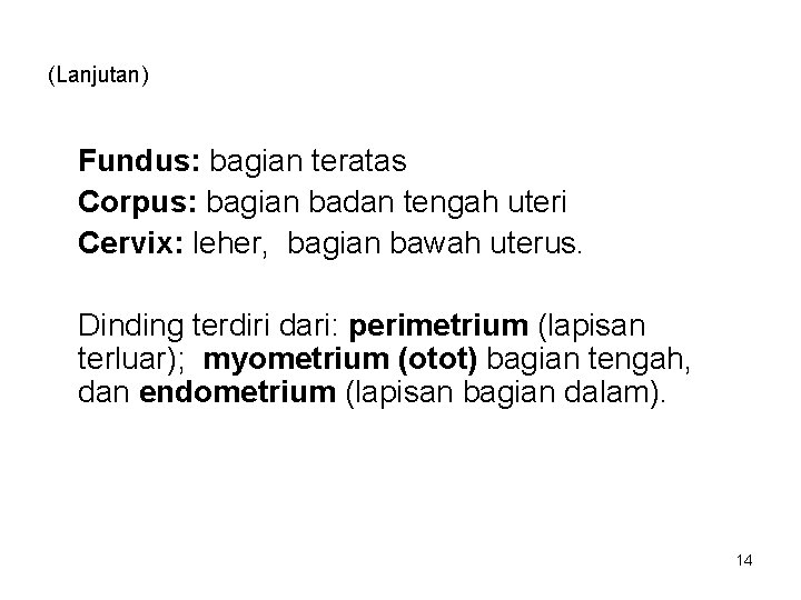 (Lanjutan) Fundus: bagian teratas Corpus: bagian badan tengah uteri Cervix: leher, bagian bawah uterus.