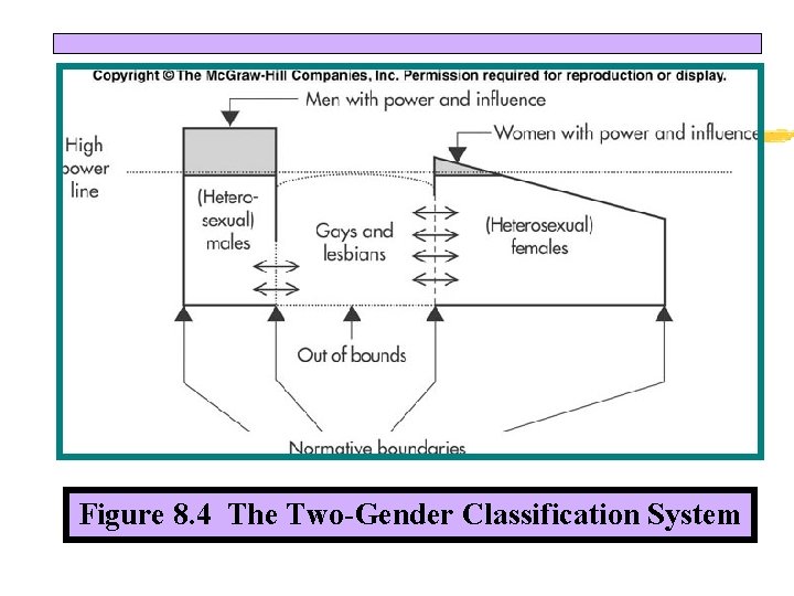 Figure 8. 4 The Two-Gender Classification System 