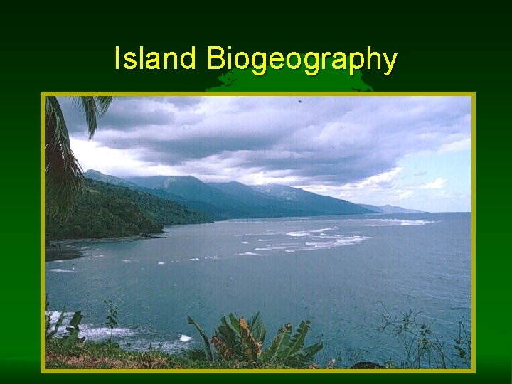 Island Biogeography 