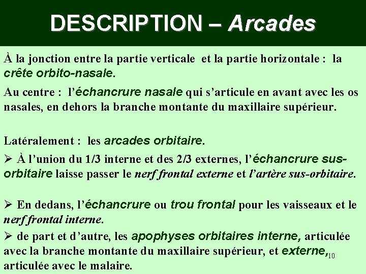 DESCRIPTION – Arcades À la jonction entre la partie verticale et la partie horizontale DESCRIPTION – Arcades À la jonction entre la partie verticale et la partie horizontale