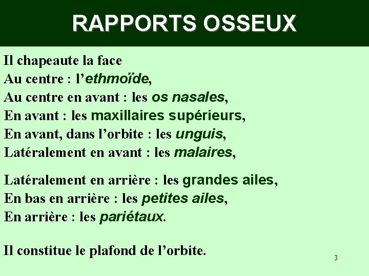 RAPPORTS OSSEUX Il chapeaute la face Au centre : l’ethmoïde, Au centre en avant RAPPORTS OSSEUX Il chapeaute la face Au centre : l’ethmoïde, Au centre en avant