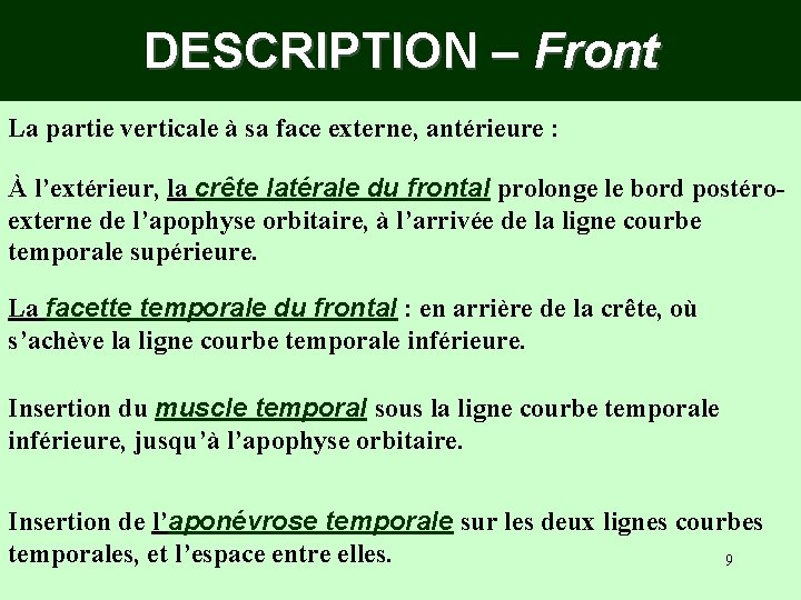 DESCRIPTION – Front La partie verticale à sa face externe, antérieure : À l’extérieur, DESCRIPTION – Front La partie verticale à sa face externe, antérieure : À l’extérieur,