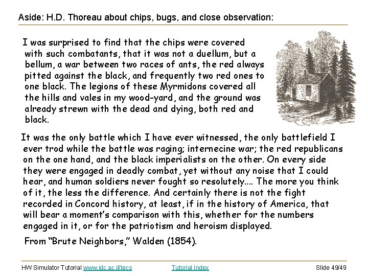 Aside: H. D. Thoreau about chips, bugs, and close observation: I was surprised to Aside: H. D. Thoreau about chips, bugs, and close observation: I was surprised to