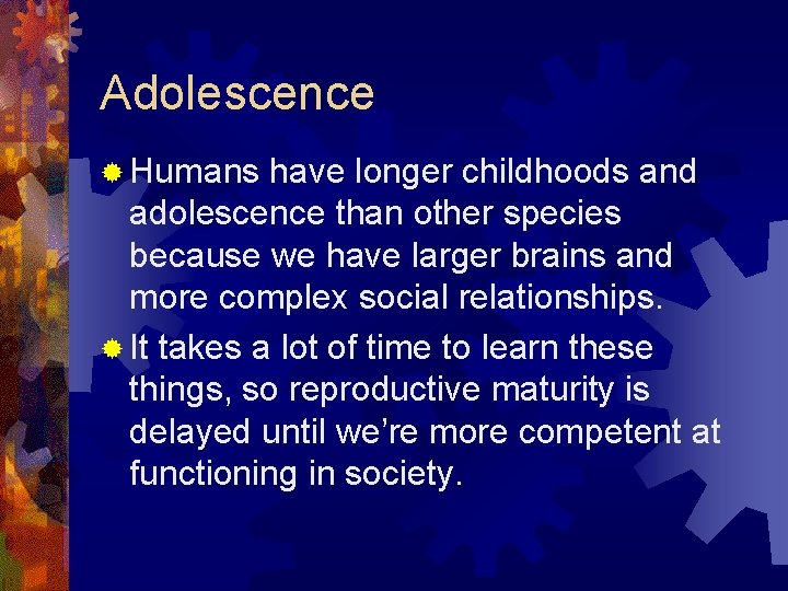 Adolescence ® Humans have longer childhoods and adolescence than other species because we have Adolescence ® Humans have longer childhoods and adolescence than other species because we have