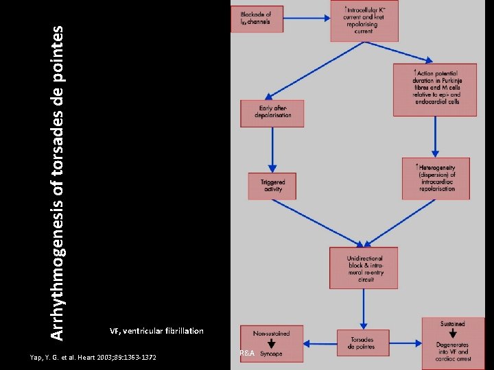 Arrhythmogenesis of torsades de pointes VF, ventricular fibrillation Yap, Y. G. et al. Heart