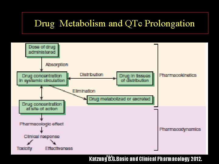 Drug Metabolism and QTc Prolongation R&A Katzung B. G. Basic and Clinical Pharmacology 2012.
