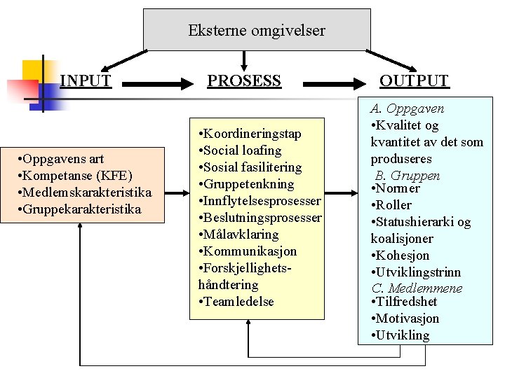 Eksterne omgivelser INPUT • Oppgavens art • Kompetanse (KFE) • Medlemskarakteristika • Gruppekarakteristika PROSESS