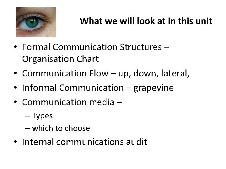 What we will look at in this unit • Formal Communication Structures – Organisation