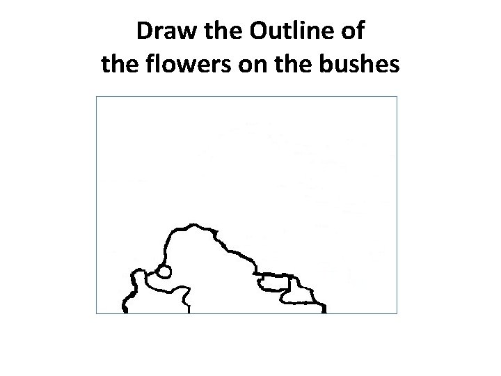 Draw the Outline of the flowers on the bushes 