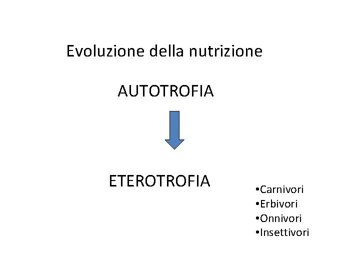 Evoluzione della nutrizione AUTOTROFIA ETEROTROFIA • Carnivori • Erbivori • Onnivori • Insettivori 