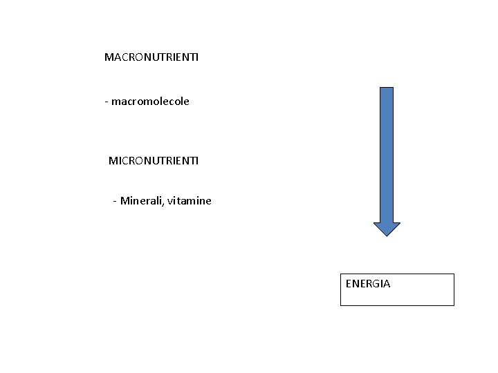 MACRONUTRIENTI - macromolecole MICRONUTRIENTI - Minerali, vitamine ENERGIA 