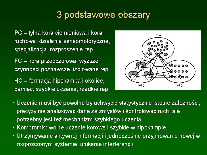 3 podstawowe obszary PC – tylna kora ciemieniowa i kora ruchowa; działania sensomotoryczne, specjalizacja,