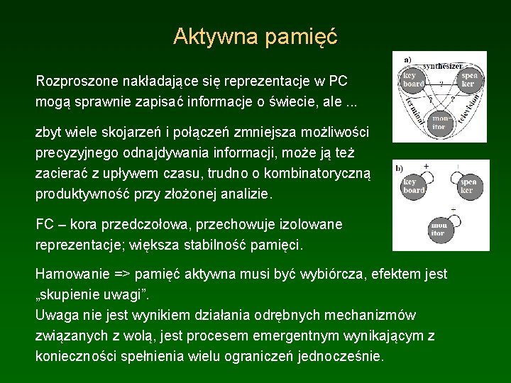 Aktywna pamięć Rozproszone nakładające się reprezentacje w PC mogą sprawnie zapisać informacje o świecie,