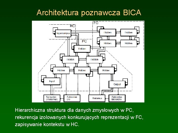 Architektura poznawcza BICA Hierarchiczna struktura dla danych zmysłowych w PC, rekurencja izolowanych konkurujących reprezentacji