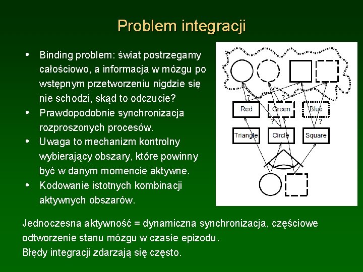 Problem integracji • Binding problem: świat postrzegamy • • • całościowo, a informacja w