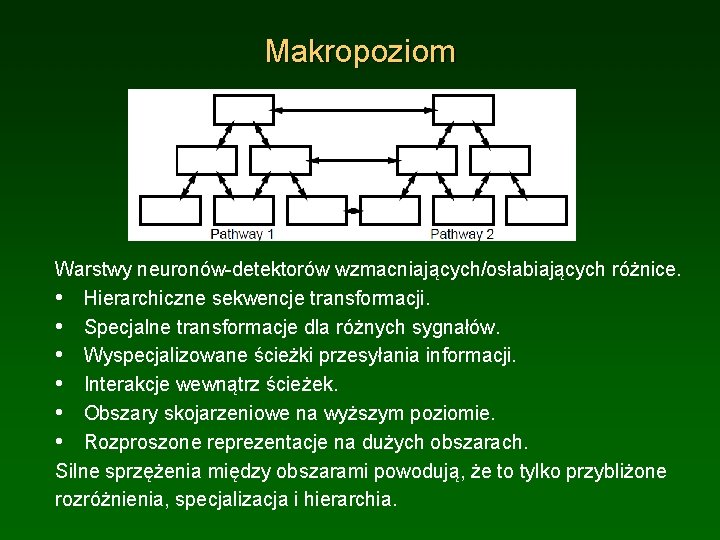 Makropoziom Warstwy neuronów-detektorów wzmacniających/osłabiających różnice. • Hierarchiczne sekwencje transformacji. • Specjalne transformacje dla różnych