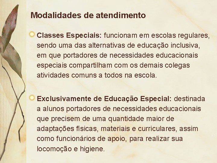 Modalidades de atendimento Classes Especiais: funcionam em escolas regulares, sendo uma das alternativas de