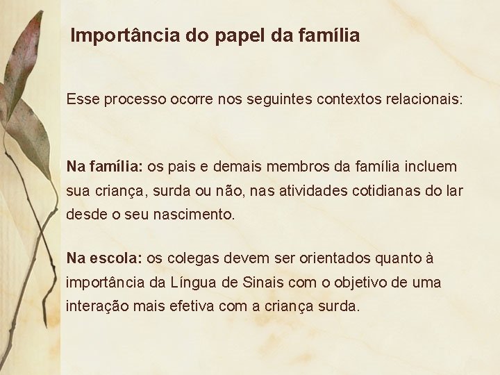 Importância do papel da família Esse processo ocorre nos seguintes contextos relacionais: Na família:
