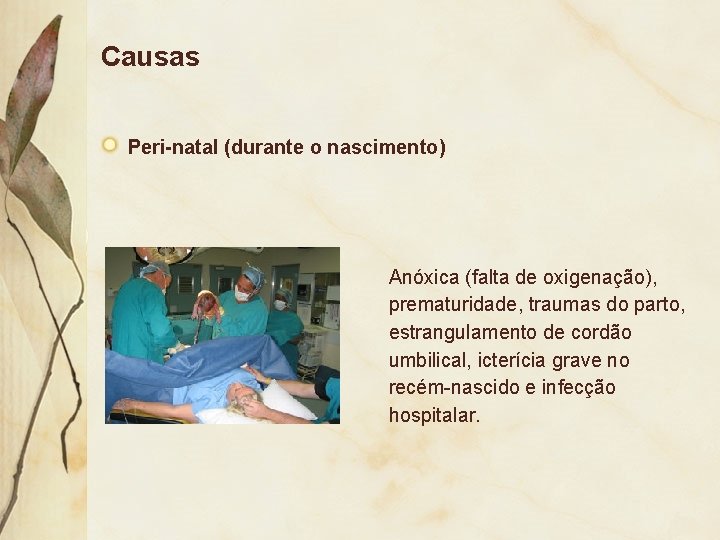 Causas Peri-natal (durante o nascimento) Anóxica (falta de oxigenação), prematuridade, traumas do parto, estrangulamento