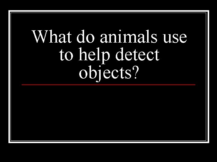 What do animals use to help detect objects? 